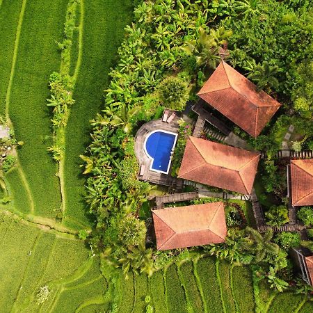 Barong Villas Sidemen  Ngoại thất bức ảnh