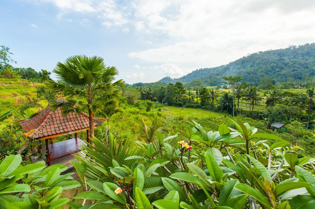 Barong Villas Sidemen  Ngoại thất bức ảnh