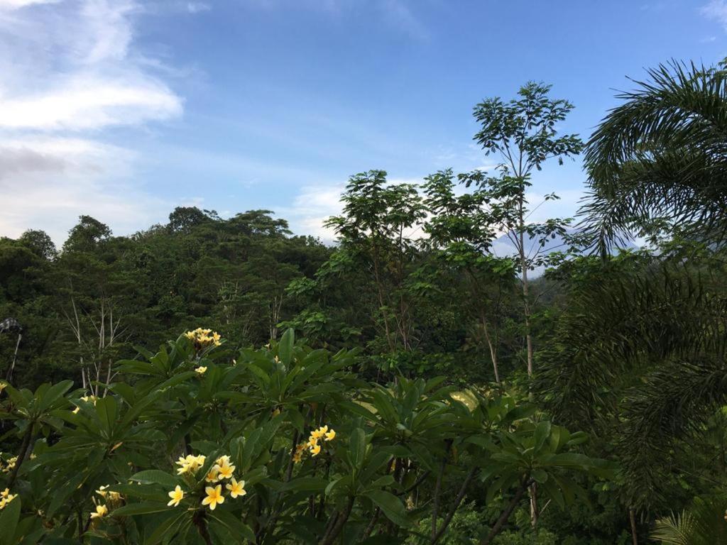 Barong Villas Sidemen  Ngoại thất bức ảnh